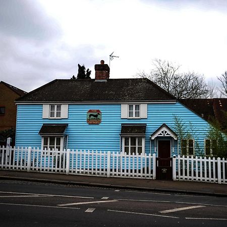 The Greyhound Cottage Чіґвелл Екстер'єр фото